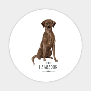 Chocolate Brown Labrador Magnet